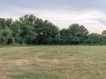 Rural views