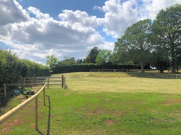 Grass pitches