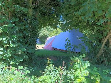 Tent area