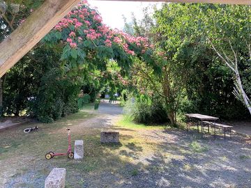 Around the site