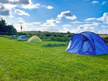Well-spaced camp pitches.