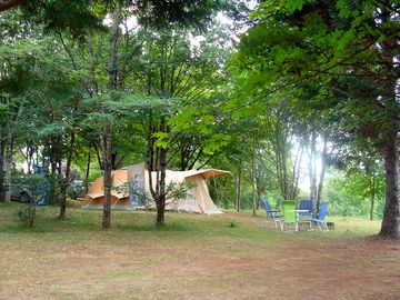 Large grass pitches set in the woodlands