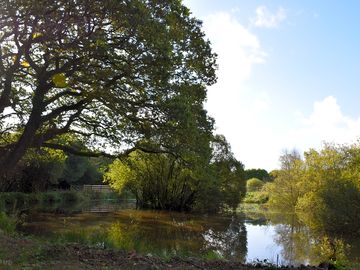 Tranquility
