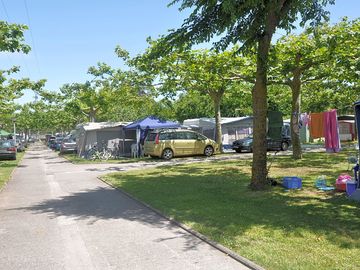 Pitches shaded by trees