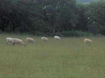 Friendly neighbours