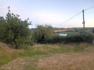 View from the old orchard