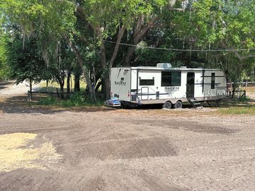 Tucked under a tree