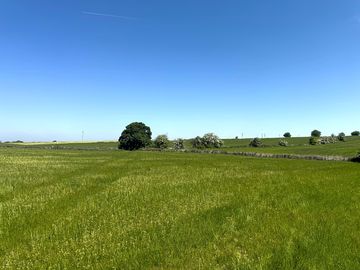 Field