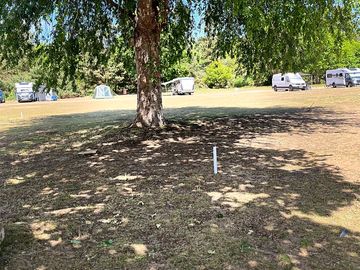 View of the site