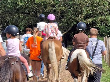 Balade à poney