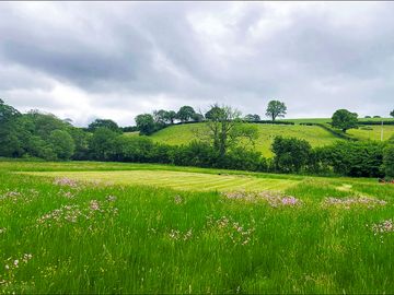 Pitches and view of the fields