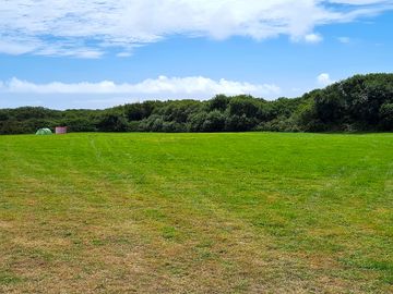 Camping field sheltered by trees