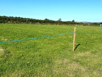 Grassy plots