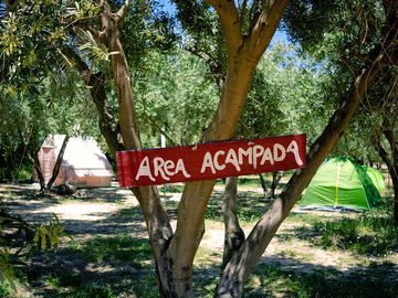 Pitches under the trees