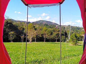 View from pitches
