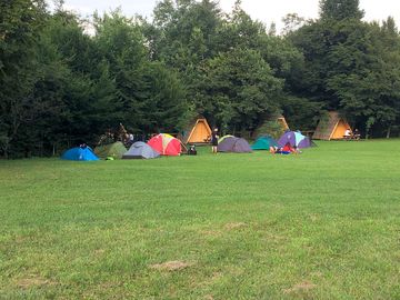 Sheltered pitches