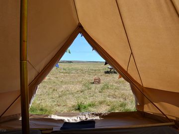 View looking out of a bell tent