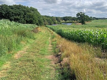 Path to the large pond on the farm