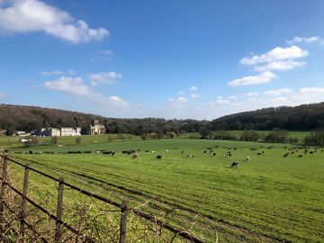 Rural views
