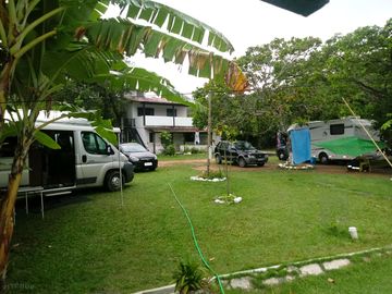 Grass pitches surrounded by trees