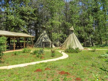 Path to the tipis and amenities area (added by manager 11 Apr 2018)
