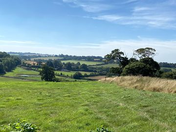A view across the farm