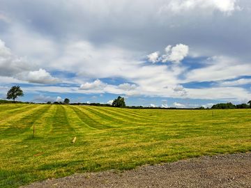 Large field available for big events