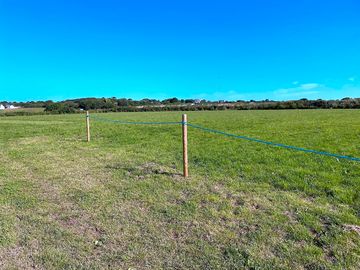 View over the field