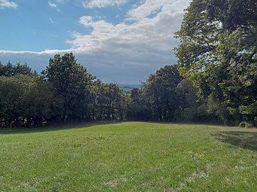 field