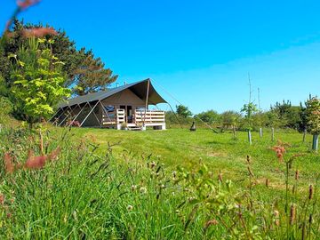 Safari tent