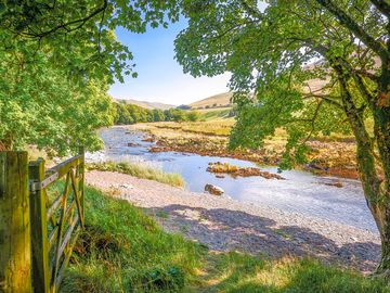 Visitor image of the river