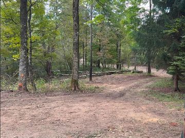 Hi, this is the newly cleared entrance, you can park & camp anywhere on it, or even off of it.