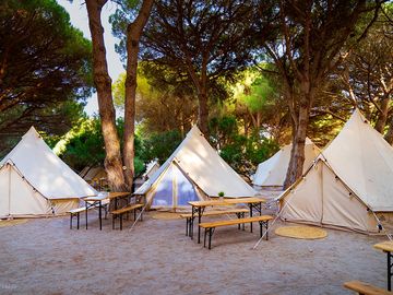 Bell tent pitches and picnic areas