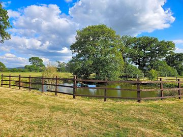 The wildlife pond