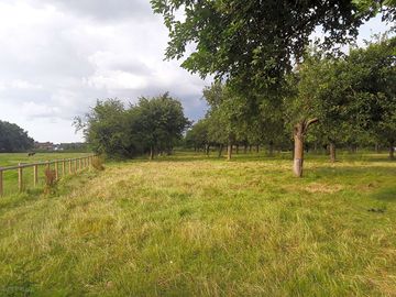 Grass pitches