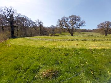 Field views