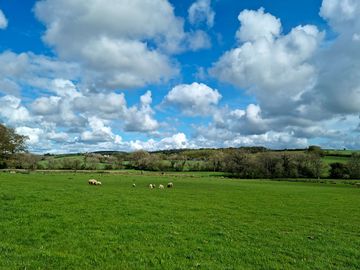 Grassy pitches (added by manager 21 Jun 2021)