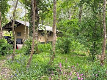 Private setting in lush woodland