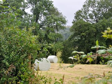 View of the small meadow when the hay has been baled