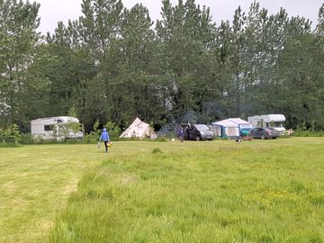 Around the site
