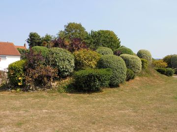 Around the site