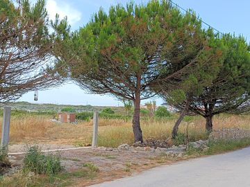 Entrance to the site