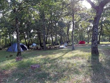 View through the woods