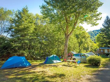 Pitch among the trees