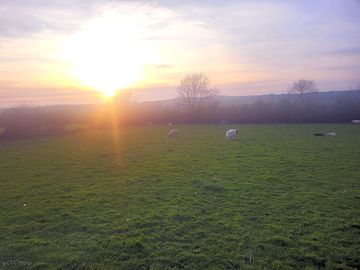 Field view before campsite