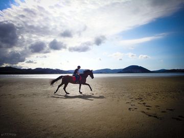 Horse riding on the beach