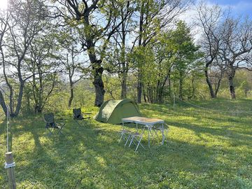 Partially shaded tent pitches