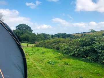 Tent pitch