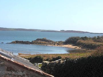 View from garden