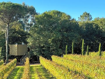 Cabaña entre bosque y viñedo